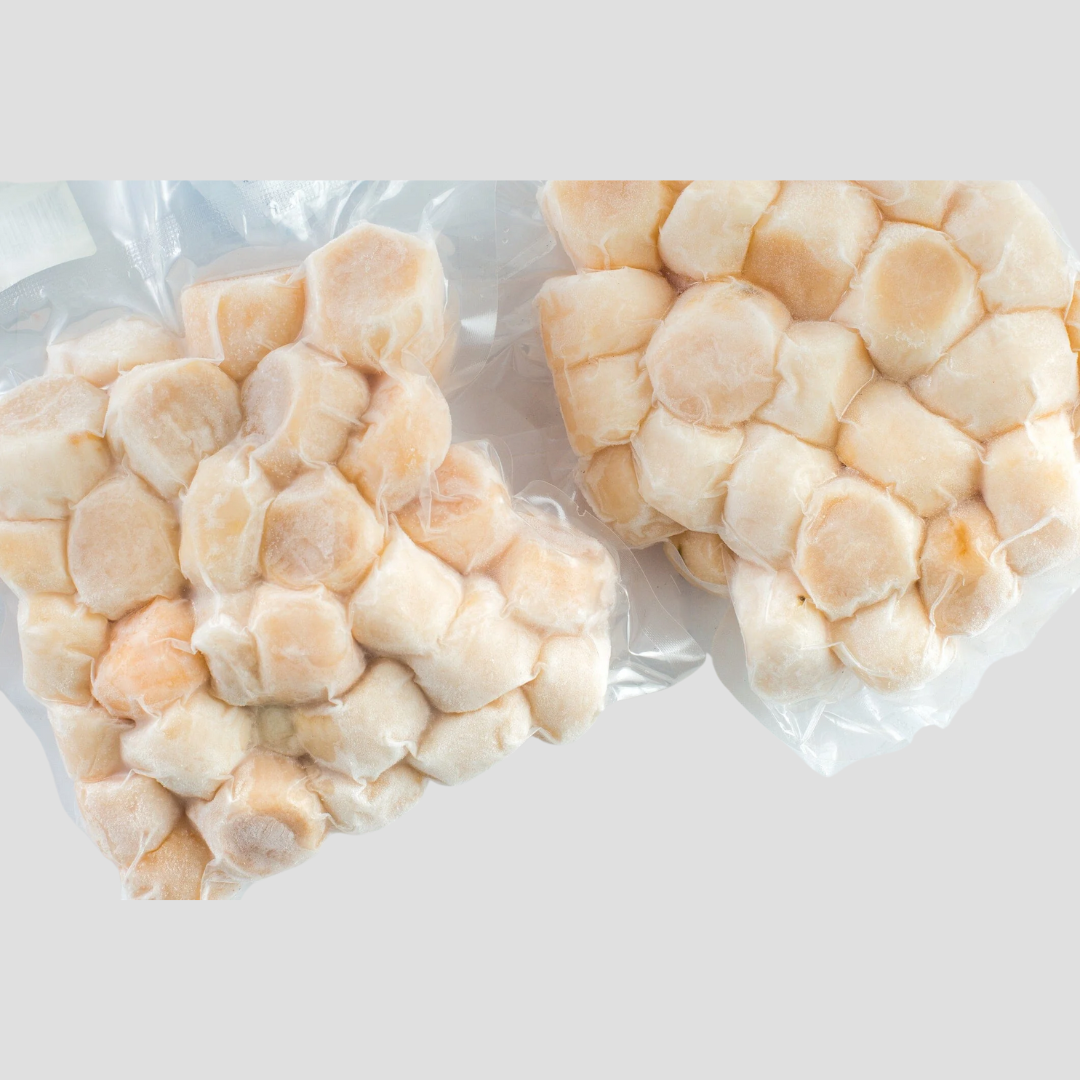 Large 1 LB HOKKAIDO SCALLOPS