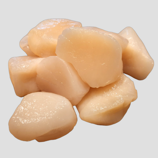 Large 1 LB HOKKAIDO SCALLOPS